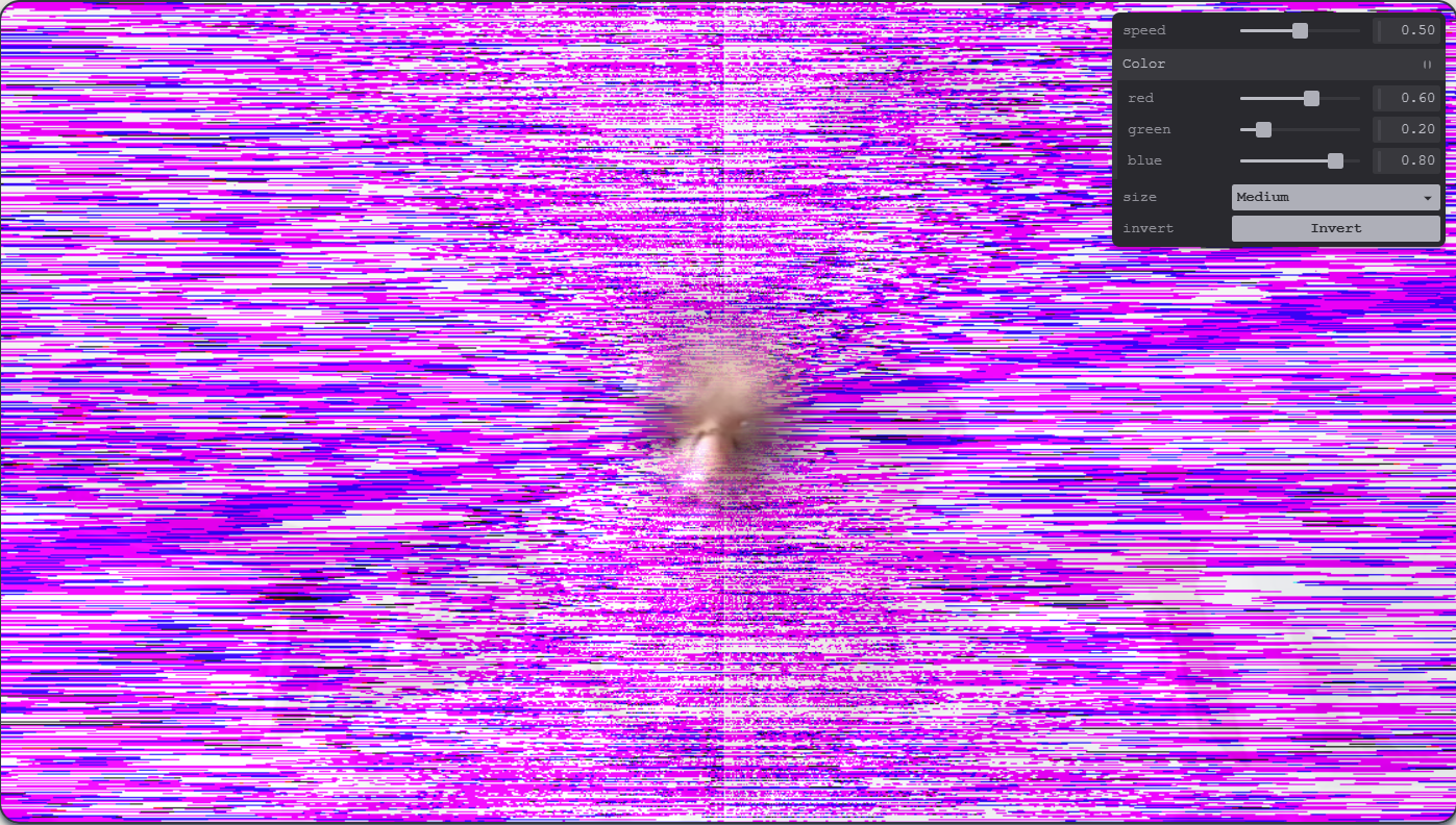 A3: Gulls / Video WebGPU